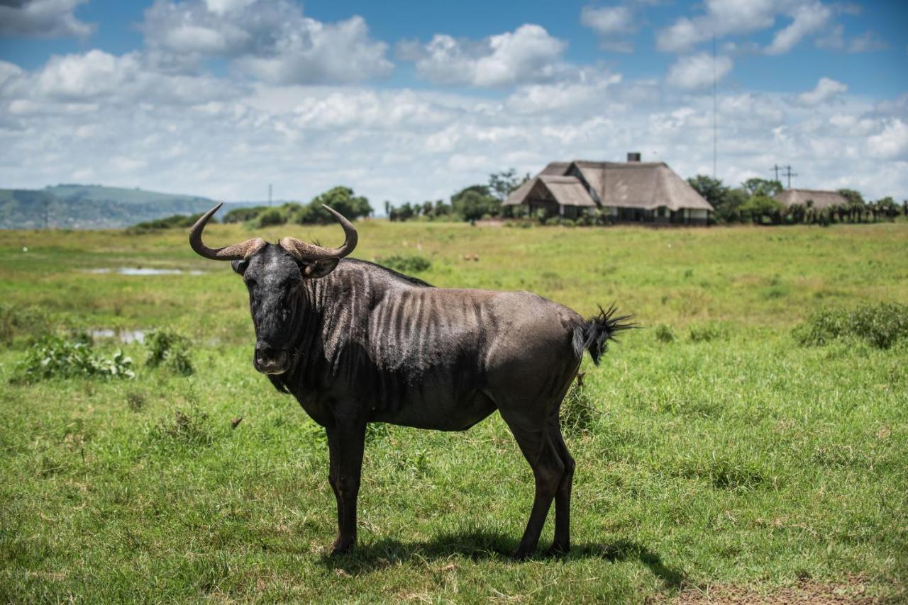 Tala Collection Game Reserve Silverton Екстер'єр фото
