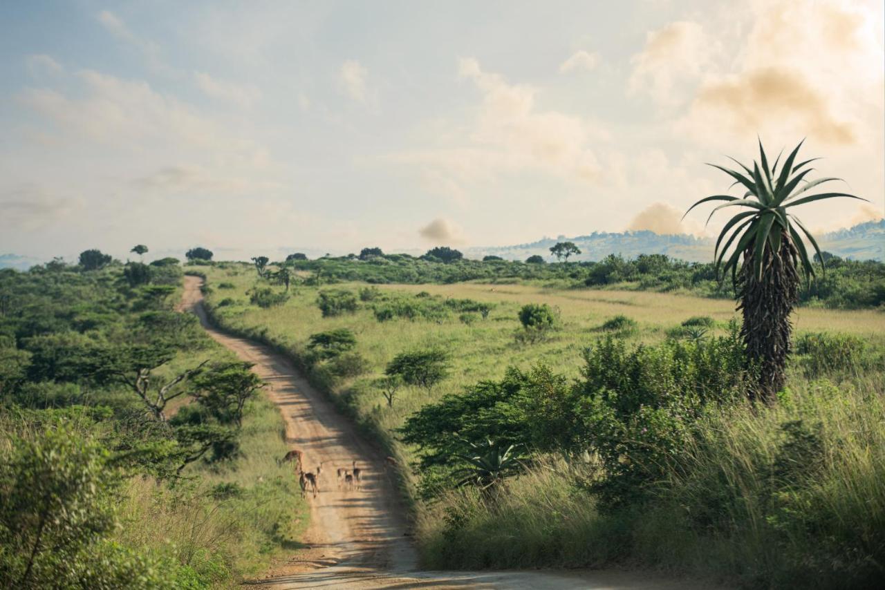 Tala Collection Game Reserve Silverton Екстер'єр фото