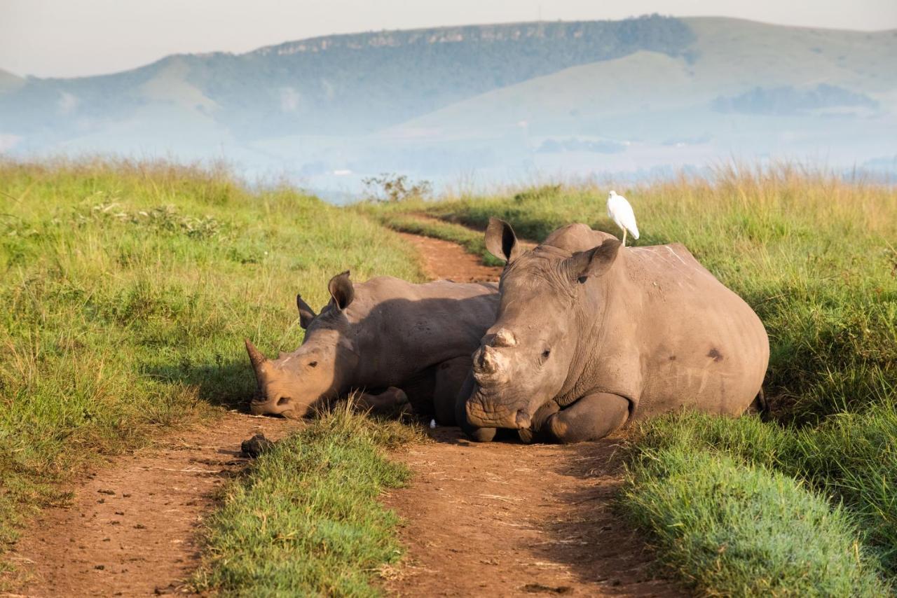 Tala Collection Game Reserve Silverton Екстер'єр фото